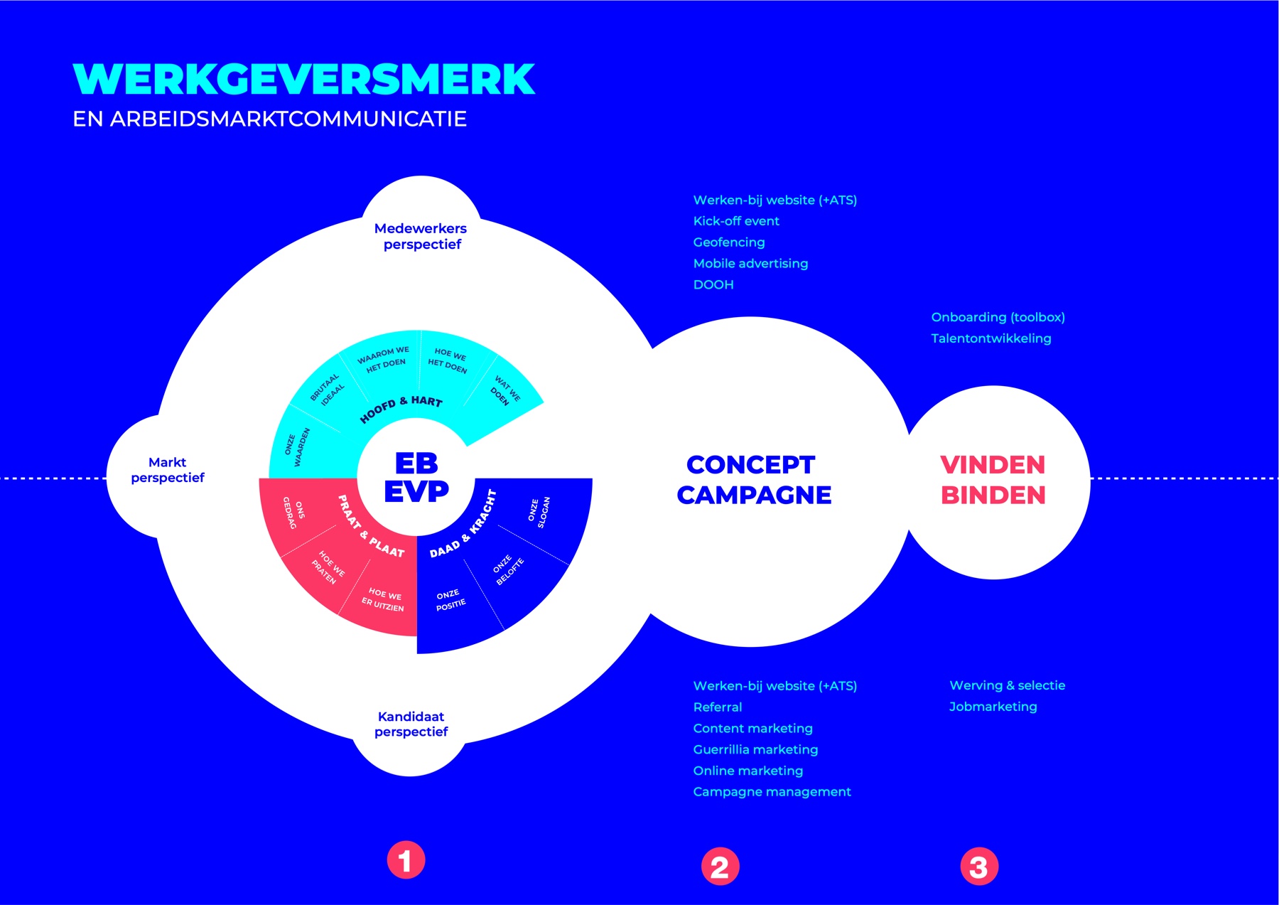 Het Schwung werkgeversmerk-model: in de kern EB/EVP met daaromheen het merkmodel (Hoofd & hart, Praat & plaat, Daad & kracht) en de perspectieven medewerkers, kandidaat en markt, gevolgd door Concept & Campagne en Vinden & Binden.